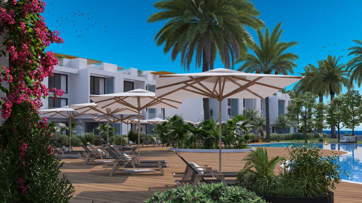 nordzypern-immobilien ferienanlage - apartment tatlisu mit poolanlage nordzypern-immobilien ferienanlage akanthou tatlisu - apartment mit pool und mediterraner gartenanlage